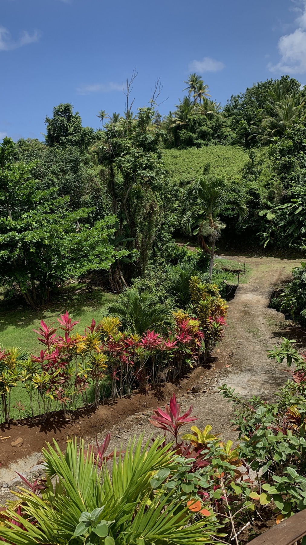 A colourful planted path through the farm’s tropical garden