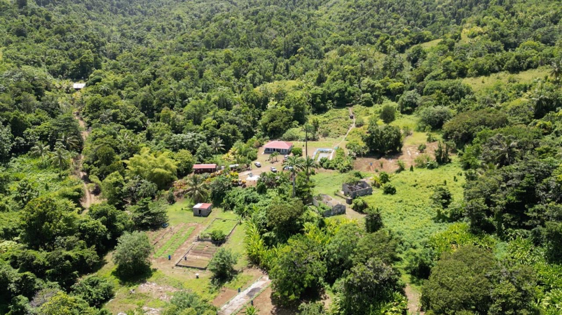 The farm nestled among the green hills of Marigot, Dominica