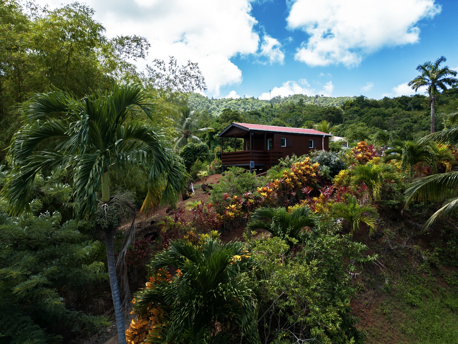 The red-roofed wooden cabin among tropical plants